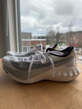 Saucony Endorphin Pro 4 (W8)